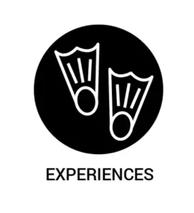 Experiences Bookings